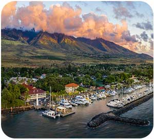 Local Resources at NorthShore Orthopedics in Wailuku, Maui, HI